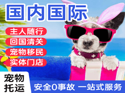 稻城亚丁空运代理国际宠物托运 【国